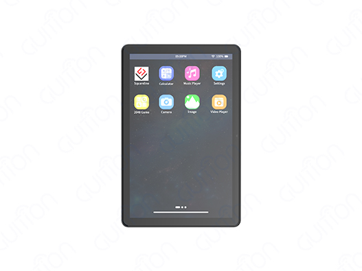 Why Are OEMs Choosing a 10.1 inch display module?
